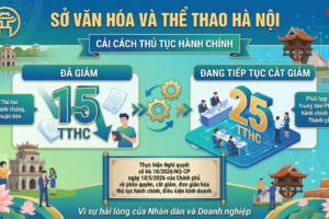 Sở Văn hóa và Thể thao Hà Nội giảm 15 TTHC
